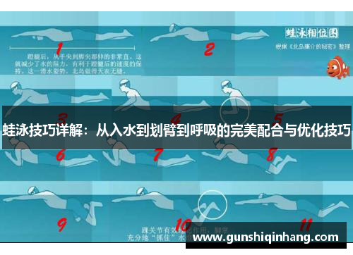 蛙泳技巧详解：从入水到划臂到呼吸的完美配合与优化技巧
