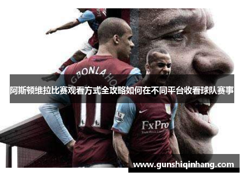 阿斯顿维拉比赛观看方式全攻略如何在不同平台收看球队赛事